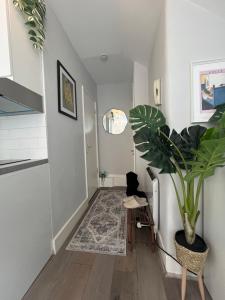 a hallway with a potted plant on the floor at Amazing Location apartment in Maida Vale in London