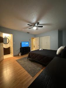 Schlafzimmer mit einem Bett und einem Deckenventilator in der Unterkunft Private rooms in Spacious Siesta Key home - Huge Backyard in Sarasota