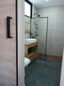 uma casa de banho com um lavatório, um WC e um espelho. em "El Farolito Apartment" em Buenos Aires