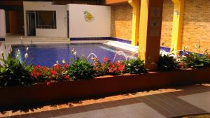 Zahrada ubytování Hotel Tropico Real Mesitas