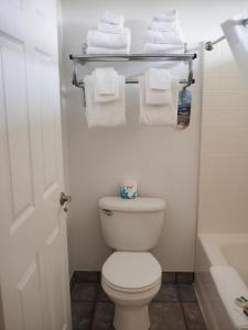a bathroom with a white toilet and towels at Wild Rivers Motorlodge in Brookings