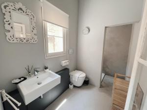 a bathroom with a sink and a toilet and a mirror at THE ARTIST'S LOFT in Valletta +25 photos