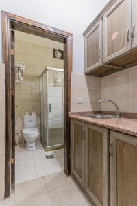 a bathroom with a toilet and a sink at old town apartment in Aqaba