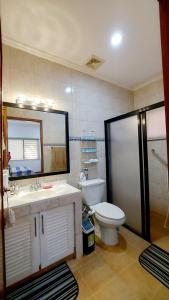 La salle de bains est pourvue de toilettes, d'un lavabo et d'un miroir. dans l'établissement Liturs house, à Bacolod