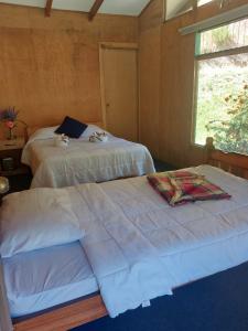 a bedroom with two beds and a window at Tangara Lodge in San Gerardo de Dota