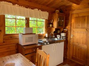 a kitchen with a microwave and a sink in a cabin at Kaldbaks-kot cottages in Húsavík