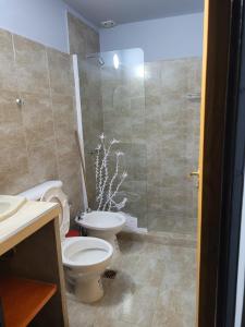 ein Bad mit einem WC und einer Dusche in der Unterkunft Cabañas La Estrella in Salta