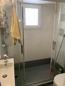 ein Bad mit einer Dusche und einer Glastür in der Unterkunft Lovely luxurious apartment in Athen