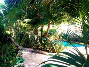 a garden with palm trees and a swimming pool at Giliranta in Gili Trawangan