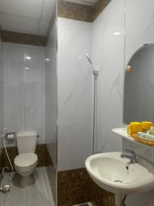 bagno con servizi igienici, lavandino e specchio di Du Hung 1 Hotel a Hà Tiên