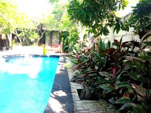 a swimming pool in a yard with plants at Giliranta in Gili Trawangan