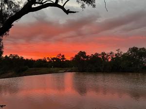 einen Sonnenuntergang über einem Wasserkörper mit einem Baum in der Unterkunft Billabong Hotel Motel in Cunnamulla