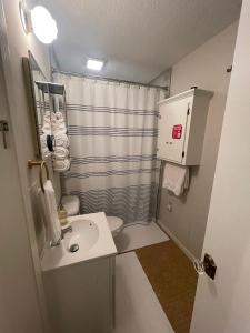y baño pequeño con lavabo y ducha. en Bayou Serenity Hideawayfast Wificomfy Bed, en Lake Charles