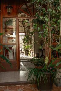 an entrance to a house with a door and a plant at Posada Galeria Alberto Sedas in Huatusco de Chicuellar