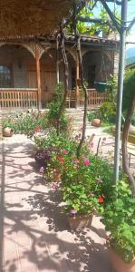 a garden with flowers in front of a house at Cottage and Gigo Papa's Wine Cellar in Kvareli