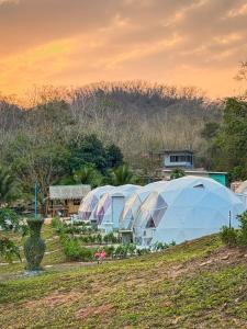 a row of domes in a garden with flowers at NiNo San Glamping - Pak Chong in Ban Nong Ka Cha