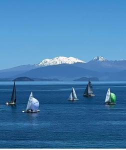a group of sailboats in a large body of water at The Coop in Kinloch +7 photos