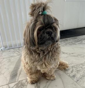 Imagen de la galería de 6A Hough Street - Sophisticated pet friendly home with air con, wi-fi and linen provided, en Nelson Bay