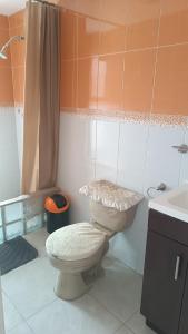 La salle de bains est pourvue de toilettes et d'un lavabo. dans l'établissement Las flores Boulevard, à Mexico