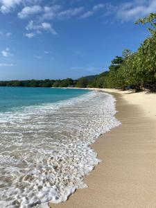 a beach with the water washing up on the sand at Serenity Bungalows in Port-Olry +7 photos