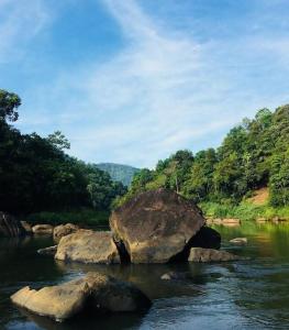 uma grande rocha no meio de um rio em kithulgala Green Rafting Hotel em Kitulgala