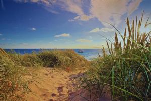 una spiaggia sabbiosa con erba e l'oceano sullo sfondo di Paulstraße 2, W54 a Westerland