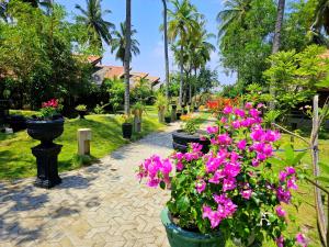 a row of flowers in pots in a garden at Cocolagoon eco Resort Nilaveli in Trincomalee