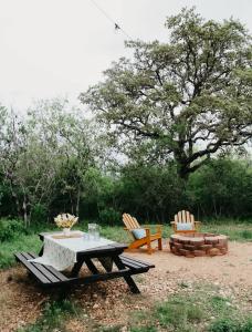 The Maverick: A-Frame w/ Hammock and Tree Top View外面的花园