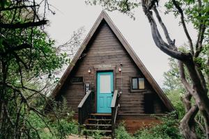 新布朗费尔斯The Maverick: A-Frame w/ Hammock and Tree Top View的树林里设有一扇蓝色门的小屋