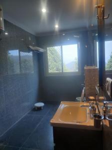 a bathroom with a sink and a shower at Oakakhi Stays, Deluxe room in Rānīkhet