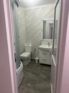 La salle de bains est pourvue de toilettes, d'un lavabo et d'un miroir. dans l'établissement Pensiunea Cascada Putnei, à Lepşa