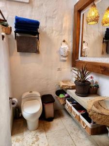 a bathroom with a toilet and a sink and a mirror at Hermosa casa en Cauca Viejo in Jericó
