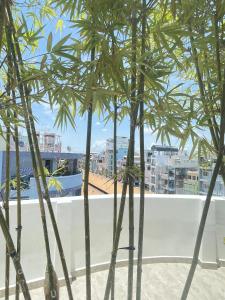 朱笃The CK Hotel的相册照片