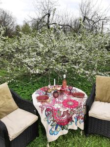 une table avec un tissu de table fleuri et 2 chaises dans l'établissement Mellene 1 bedroom house in nature & hot tube, à Turaida