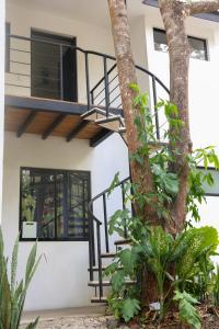 a building with a spiral staircase next to a tree at Apartamentos Vista Verde in Carmen
