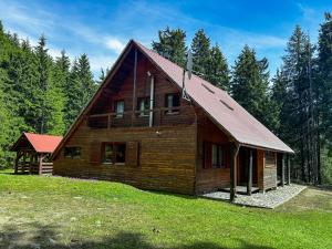 a large wooden house in the middle of a field at Natura BH in Izvoare