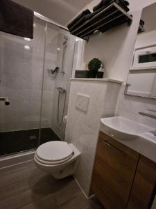 uma casa de banho com um WC, um chuveiro e um lavatório. em Schicke neue Ferienwohnung em Bremen