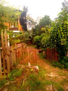 un jardín con una valla de madera y una casa en Casa Cachalote, en El Valle