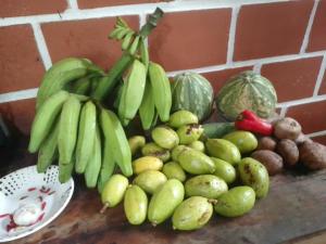 una pila de frutas y hortalizas en un mostrador en Casa Cachalote, en El Valle