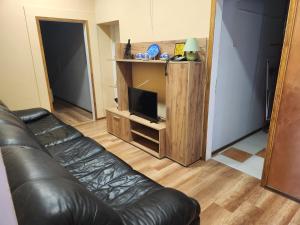 TV a/nebo společenská místnost v ubytování Apartman DUNJA