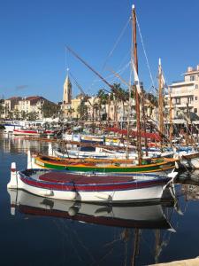 un groupe de bateaux est amarré dans un port dans l'établissement Villa les 3 lumières 8-10 personnes, Clim, piscine à proximité des plages, à La Ciotat