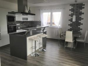 Kuchyňa alebo kuchynka v ubytovaní Apartmán u Fryšávky