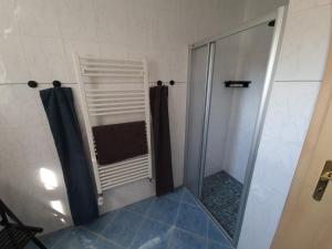 ein Bad mit einer Dusche und einer Glastür in der Unterkunft Ferienwohnung Nauen in Nauen