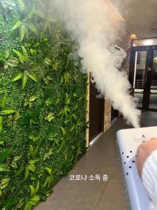 uma parede verde com fumo a sair dela em RGB Guesthouse em Jeonju