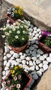 Fotografie z fotogalerie ubytování VILLA MEYSARY v destinaci Šamachi