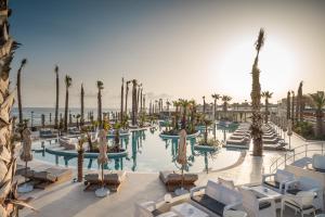 un complejo con una piscina con palmeras y sillas en Europa Beach Hotel & Spa, en Hersonissos