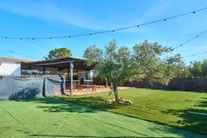 Ein Baum mitten im Garten in der Unterkunft Casa Rural Olivar de la Marquesa in La Carlota