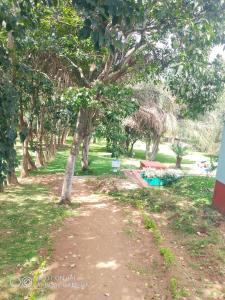 a dirt path through a park with trees at Ruby's Guesthouse Chigumula in Blantyre