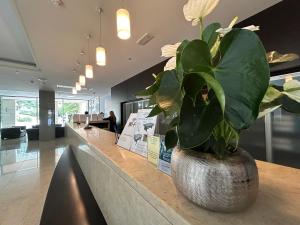 a potted plant sitting on a counter in a lobby at Admiral Grand Hotel in Slano