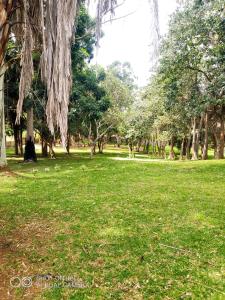 a park with green grass and trees in it at Ruby's Guesthouse Chigumula in Blantyre